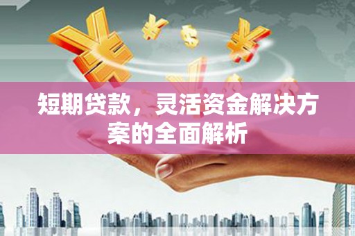 沙雅短期贷款，灵活资金解决方案的全面解析