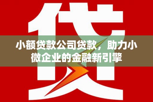 沙雅小额贷款公司贷款，助力小微企业的金融新引擎