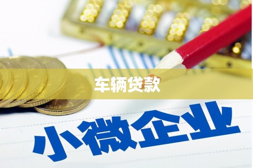 沙雅车辆贷款