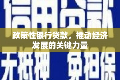 沙雅政策性银行贷款，推动经济发展的关键力量