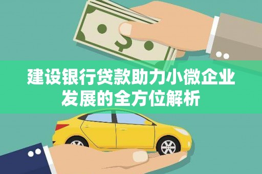 沙雅建设银行贷款助力小微企业发展的全方位解析