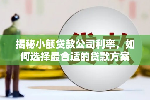 沙雅揭秘小额贷款公司利率，如何选择最合适的贷款方案