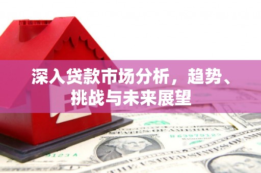 沙雅深入贷款市场分析，趋势、挑战与未来展望