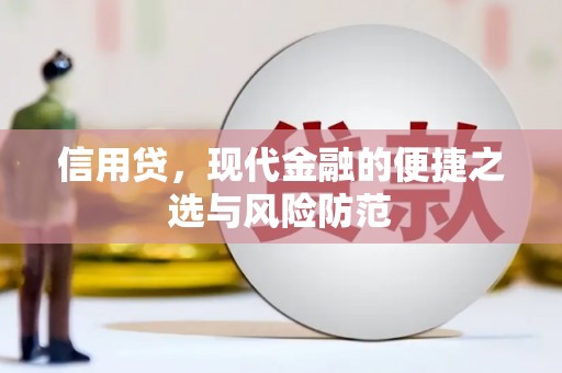 沙雅信用贷，现代金融的便捷之选与风险防范