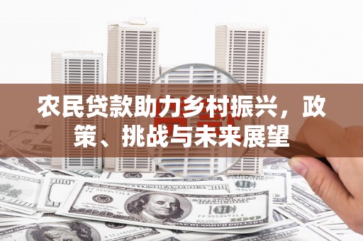 沙雅农民贷款助力乡村振兴，政策、挑战与未来展望