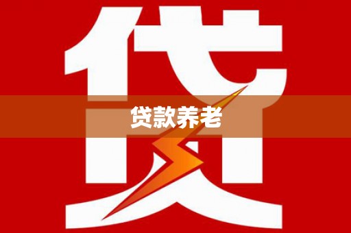 沙雅贷款养老