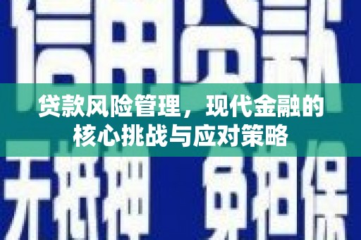 沙雅贷款风险管理，现代金融的核心挑战与应对策略