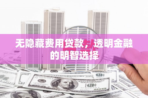 沙雅无隐藏费用贷款，透明金融的明智选择