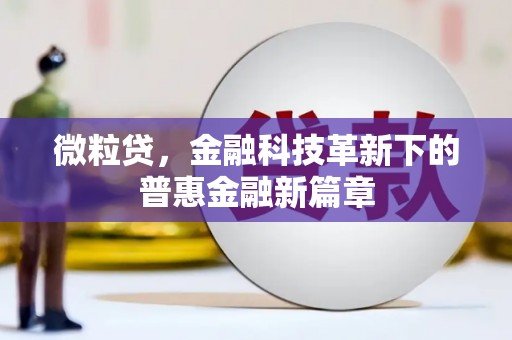 沙雅微粒贷，金融科技革新下的普惠金融新篇章