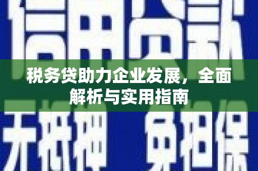 沙雅税务贷助力企业发展，全面解析与实用指南