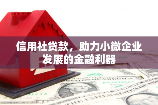 沙雅信用社贷款，助力小微企业发展的金融利器