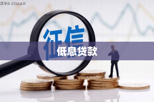 沙雅低息贷款