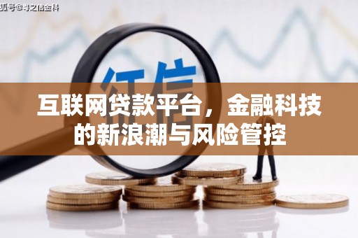 沙雅互联网贷款平台，金融科技的新浪潮与风险管控
