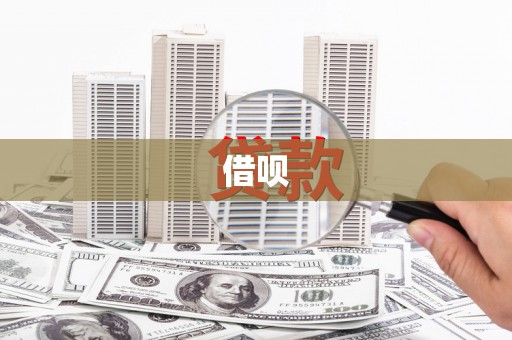 沙雅借呗