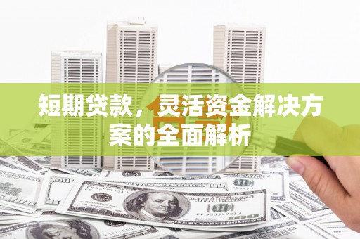 沙雅短期贷款，灵活资金解决方案的全面解析