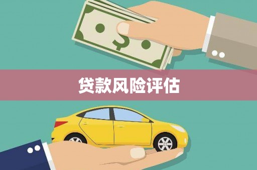 沙雅贷款风险评估