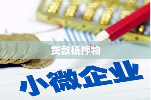 沙雅贷款抵押物