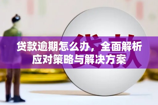 沙雅贷款逾期怎么办，全面解析应对策略与解决方案