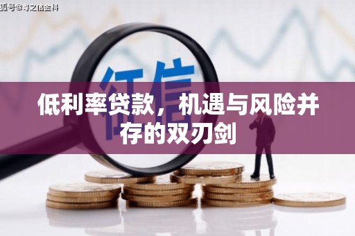 沙雅低利率贷款，机遇与风险并存的双刃剑