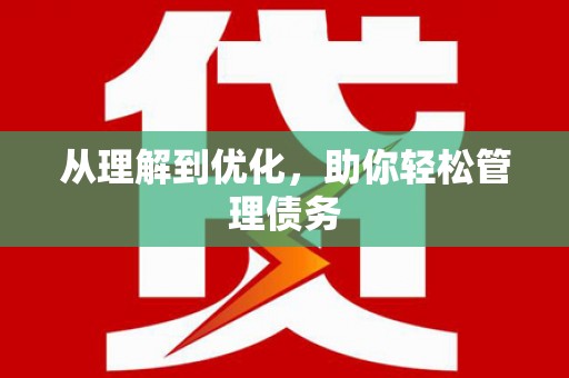 沙雅从理解到优化，助你轻松管理债务