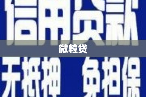 沙雅微粒贷