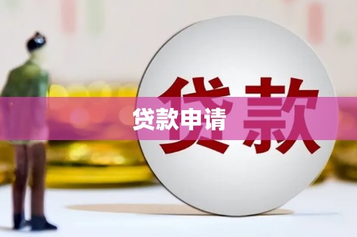 沙雅贷款申请