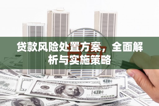 沙雅贷款风险处置方案，全面解析与实施策略