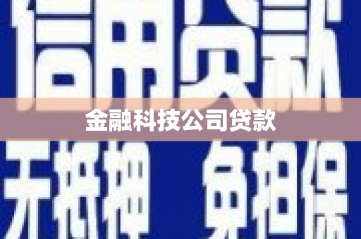 沙雅金融科技公司贷款