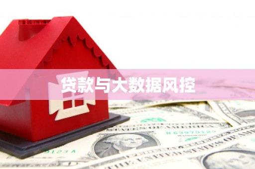 沙雅贷款与大数据风控