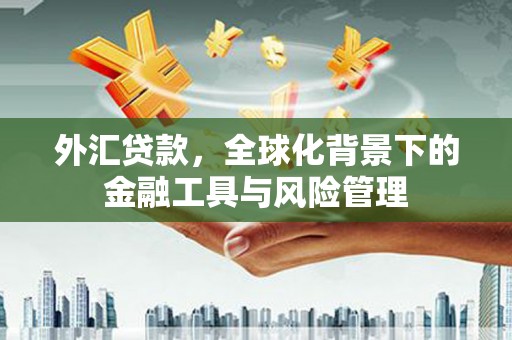 沙雅外汇贷款，全球化背景下的金融工具与风险管理