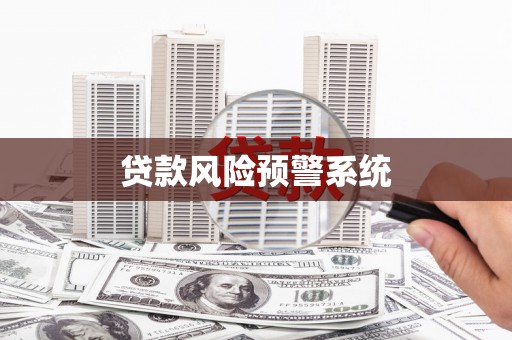 沙雅贷款风险预警系统